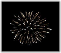 fireworks2.jpg (54363 bytes)