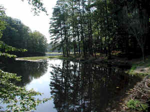 PocahantasStatePark339.jpg (275791 bytes)