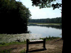 PocahantasStatePark357.jpg (200387 bytes)