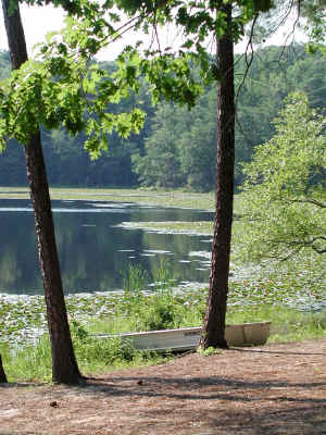 PocahantasStatePark358.jpg (317726 bytes)