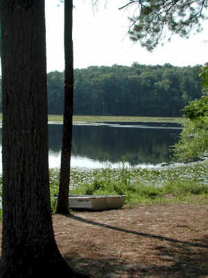 PocahantasStatePark359.jpg (231236 bytes)