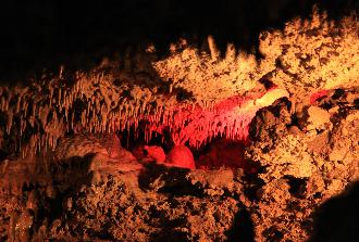 IMG_3394