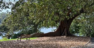 20250208-1000-IMG_1600