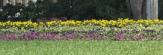 20250208-1103-IMG_1642