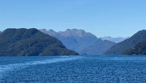 20250211-1520-IMG_1701