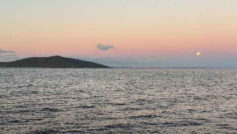 20250211-2109-IMG_1714