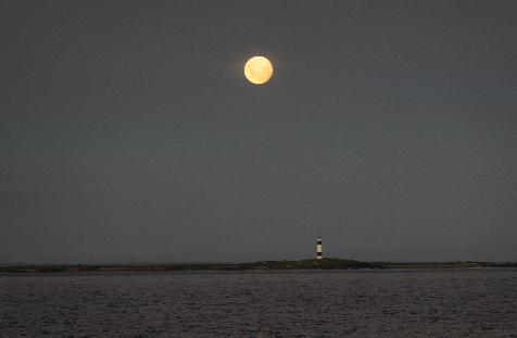 20250211-2117-_SNY3315