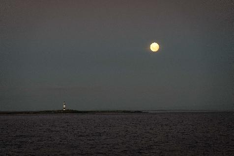 20250211-2118-_SNY3325