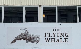 20250212-1105-IMG_1806