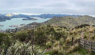 20250213-0926-IMG_1852