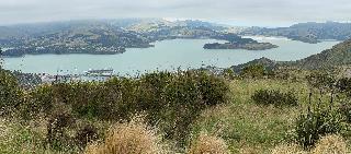 20250213-1115-IMG_1889
