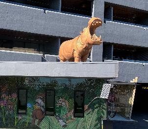 20250214-1004-IMG_1919