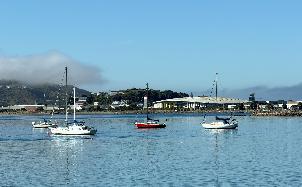 20250214-1016-IMG_1932
