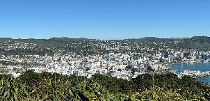 20250214-1037-IMG_1950