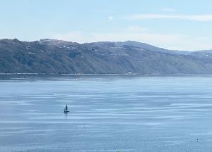 20250214-1059-IMG_1991