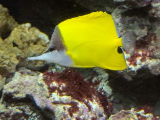 20250215-1111-IMG_2121
