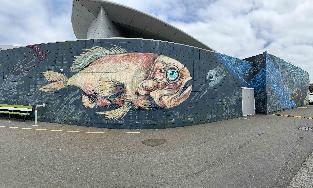 20250215-1221-IMG_2204