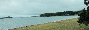 20250217-1056-IMG_2214