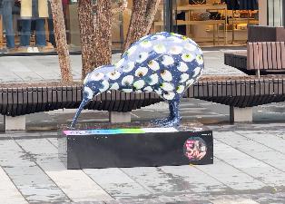 20250217-1125-IMG_2219