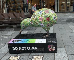20250217-1126-IMG_2221