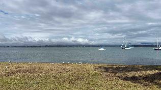 20250218-1011-IMG_2227