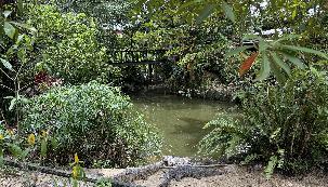IMG_1367