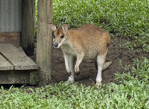 IMG_1391