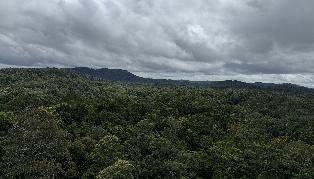 IMG_1464
