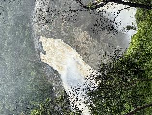 IMG_1478