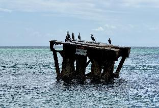 IMG_1567