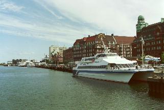 IMAG0090