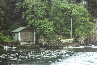 IMAG0310