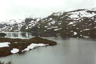 IMAG0421