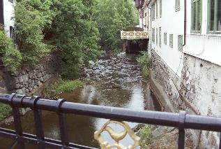 IMAG0454