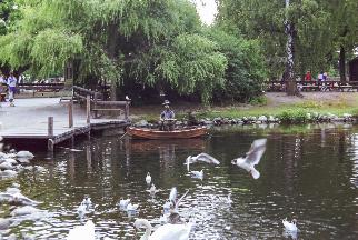 IMAG0569