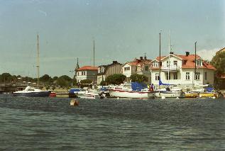 IMAG0619