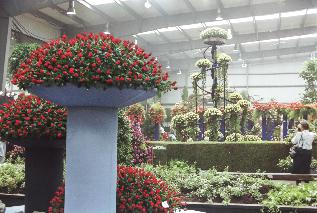 IMAG0782