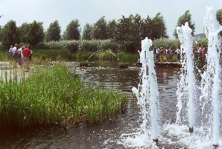 IMAG0833