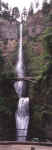 MultnomahFalls-pano.JPG (193137 bytes)