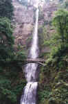 MultnomahFalls1.JPG (158961 bytes)