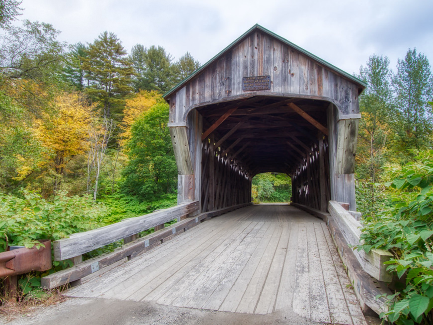 A wooden bridge

Description automatically generated