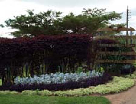 PC071506a