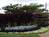 PC071506a