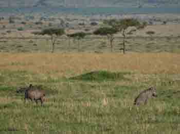 PC010978a