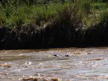 PC011060a