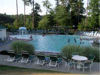 362mushroompool.jpg (261281 bytes)