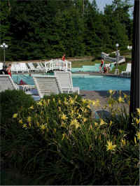 363pool-lillies.jpg (243784 bytes)