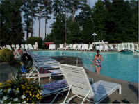 364pool.jpg (226922 bytes)