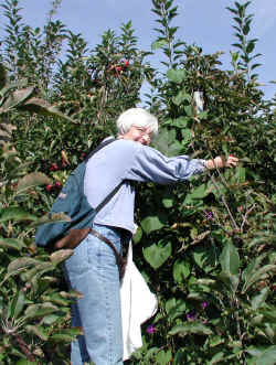 sep25-1603Margie.jpg (223364 bytes)