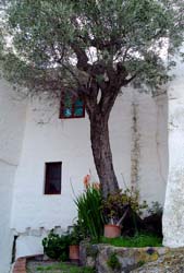 P3010382a